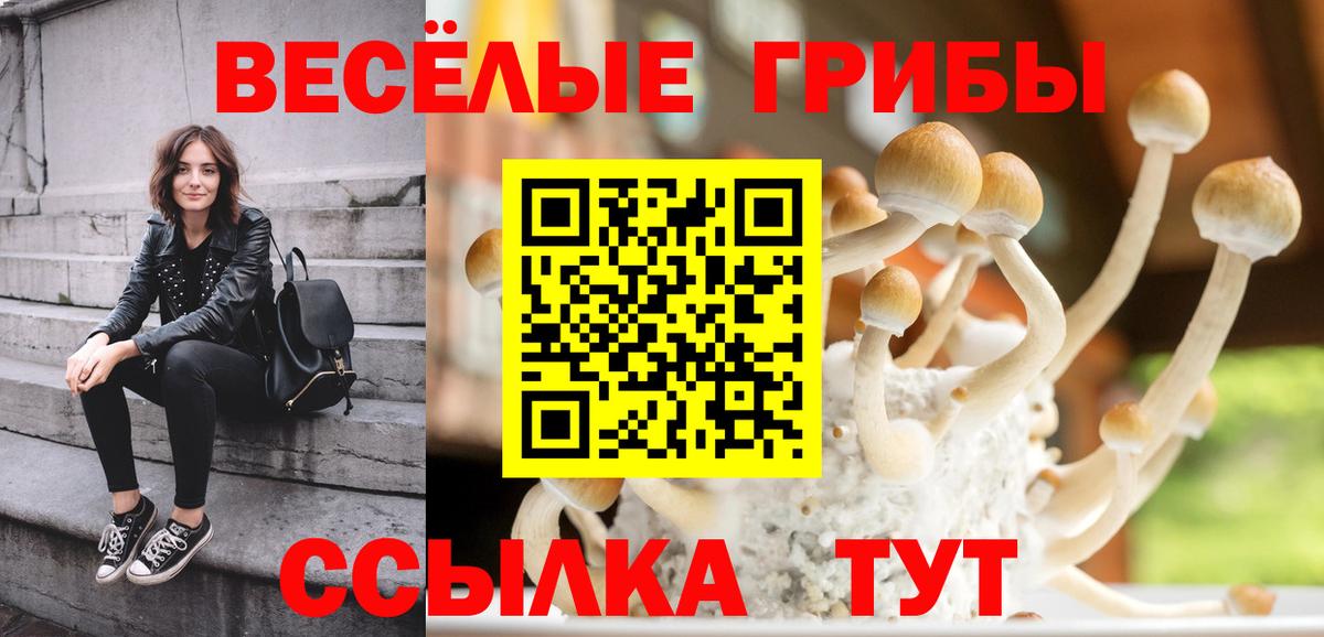 Орск  Галлюциногенные грибы мицелий  Псилоцибиновые грибы Psilocybe  наркотики  Вход с VPN 