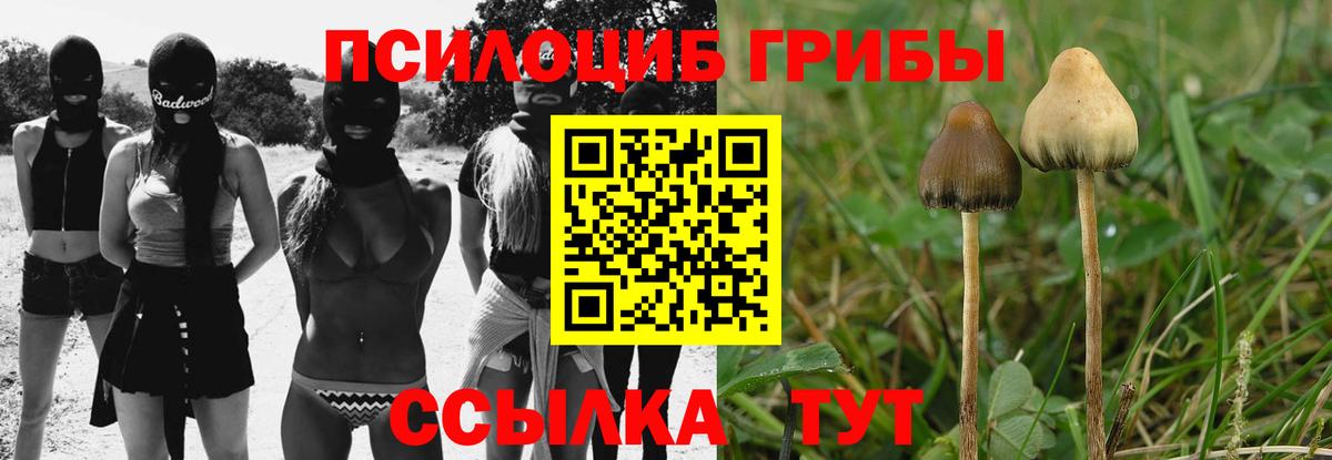 Псилоцибиновые грибы мухоморы  Орск 