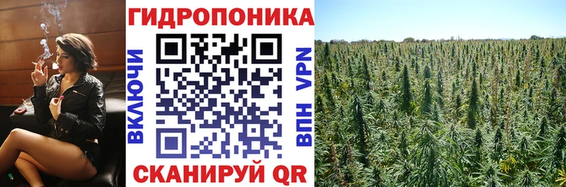 Бошки Шишки White Widow Орск